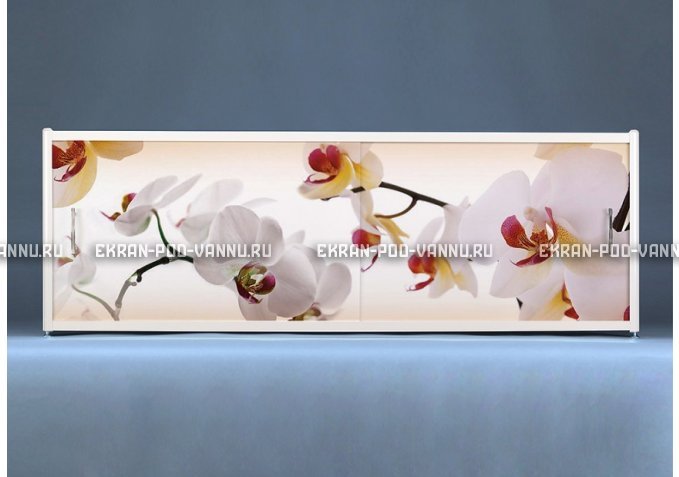 Раздвижной ФОТО экран - Orchid – купить по цене 8500 руб. в интернет-магазине в городе Новокузнецк картинка 1