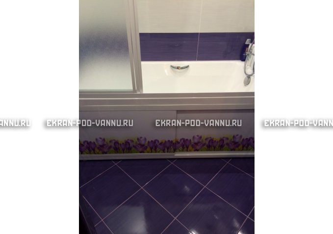 Экран на роликах EUROPLEX  Ирисы – купить по цене 12400 руб. в интернет-магазине в городе Новокузнецк картинка 4
