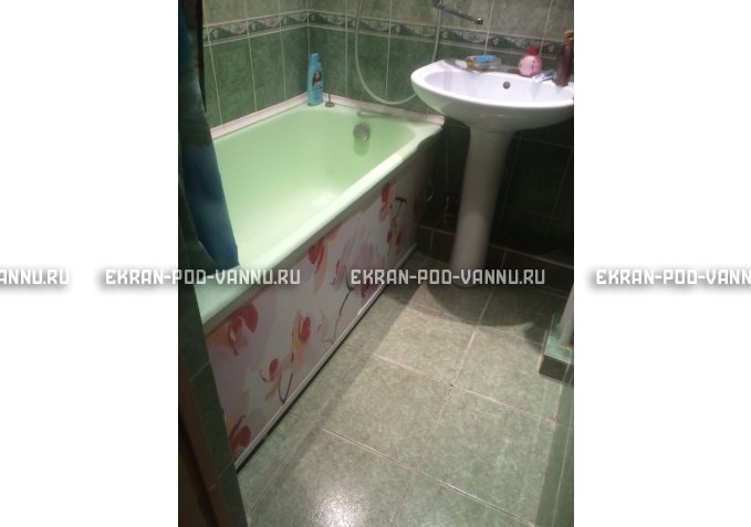 Раздвижной ФОТО экран - Orchid – купить по цене 8500 руб. в интернет-магазине в городе Новокузнецк картинка 6