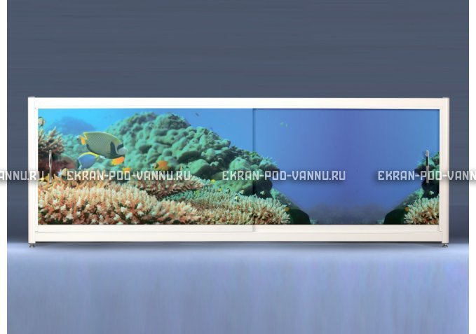 Экран на роликах EUROPLEX Коралловые рифы – купить по цене 12400 руб. в интернет-магазине в городе Новокузнецк картинка 1